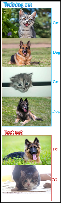 In machine learning, the model learns the associations presented in the training set; that is, images with certain kinds of patterns, which we humans effortlessly recognize as characteristics of a cat or dog, map to a certain label (cat or dog). It uses the knowledge learned to correctly label the images in the test set, which are images it never saw during training. This is specifically supervised learning, a category of machine learning where the computer program is provided with correctly labelled examples to learn from.