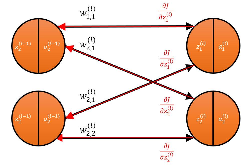 Focusing on the second unit of the second layer of the three-layer multilayer perceptron, as well as the units and connections feeding into it. See the <a href='/assets/images/neural_network/three_layer_MLP.png' target='_blank'>figure</a> in <a href='/understand-a-neural-network-from-scratch.html#forward-propagation' target='_blank'>part 5</a> for the full three-layer network.